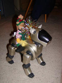 Giddyup, li'l Aibo!