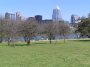P3126374 Beans relax on the grass of Auditorium Shores and admire the Austin skyline across Town Lake