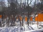 IM000212 Gates through the snowy, leafless trees.