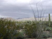 Dramatic View with Threatening Clouds