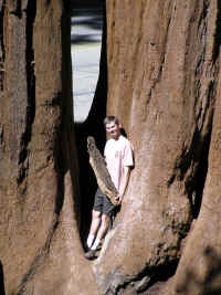 Carey poses with a wee flake of bark that was lying around