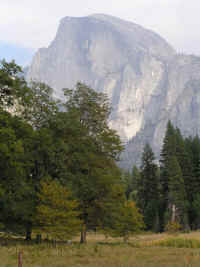 Half Dome, with a meadow in front.
