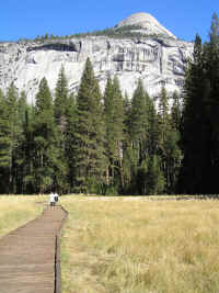 They've put nice wooden paths across some of the meadows to help keep them from getting trampled.