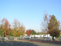 Parts of this glorified parking lot actually looked pretty nice with some fall colors.