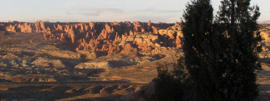 Panoramic view of a veritable garden of spires.