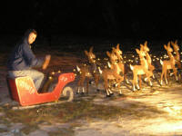 Carey pushes the bearded man aside and takes over the sleigh.