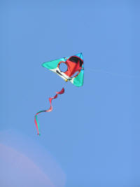 One of many happy kites aloft that day