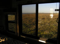 The view out my office window, toward the boat ramp.