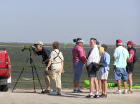 A ranger-led tour group came around every morning.