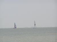 Their sailboats out in the Laguna Madre.
