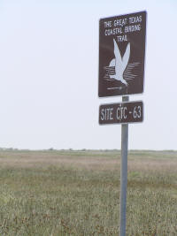 This area is very popular with birds, and consequently, birders.
